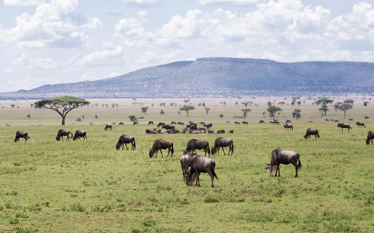 Ngorongoro Lodge Member Of Melia Collection - The Leading Hotels Of The World Bagian luar foto