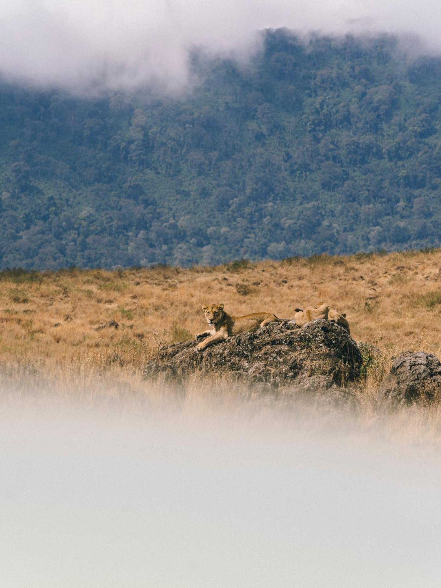 Ngorongoro Lodge Member Of Melia Collection - The Leading Hotels Of The World Bagian luar foto