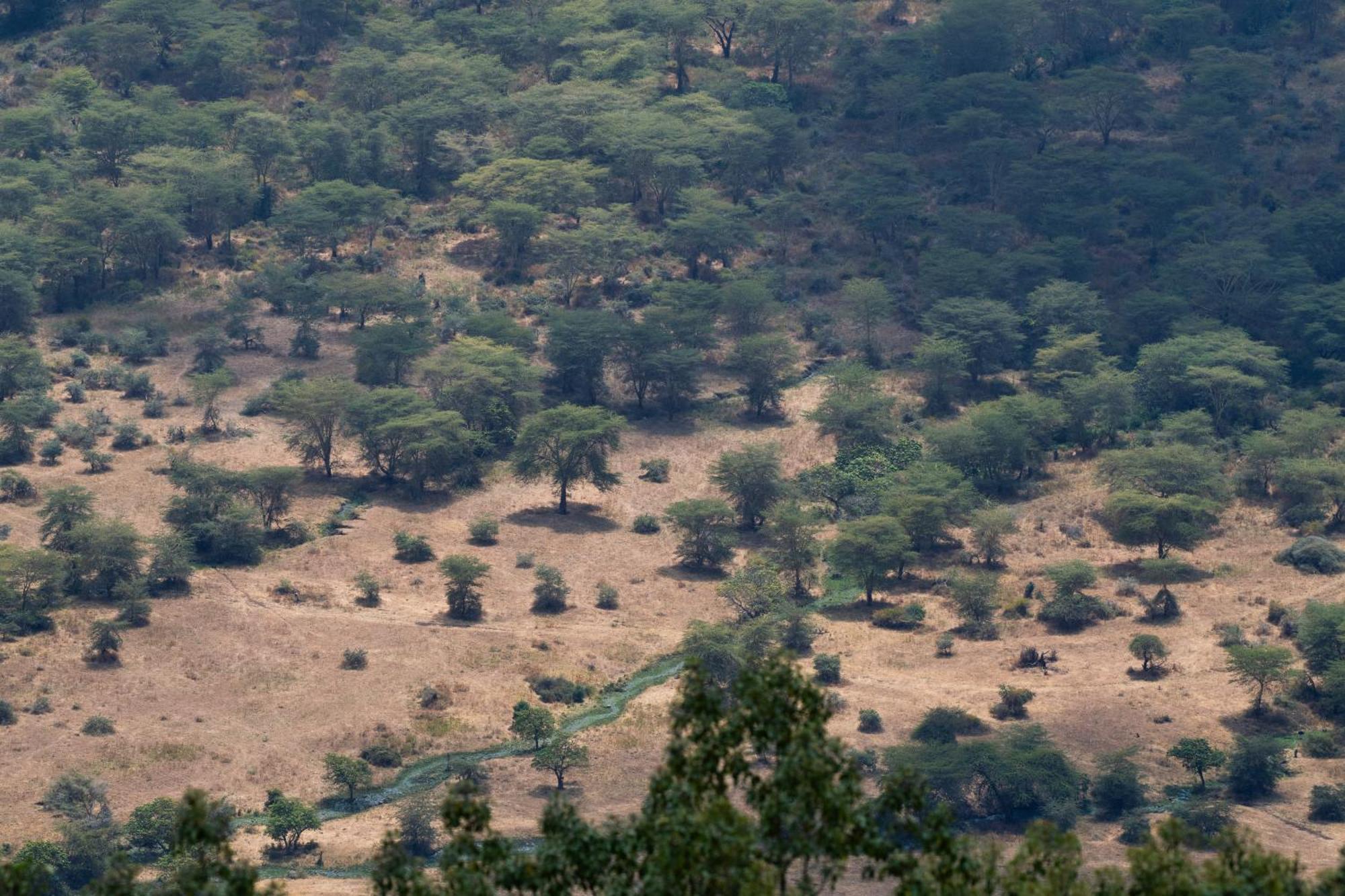 Ngorongoro Lodge Member Of Melia Collection - The Leading Hotels Of The World Bagian luar foto