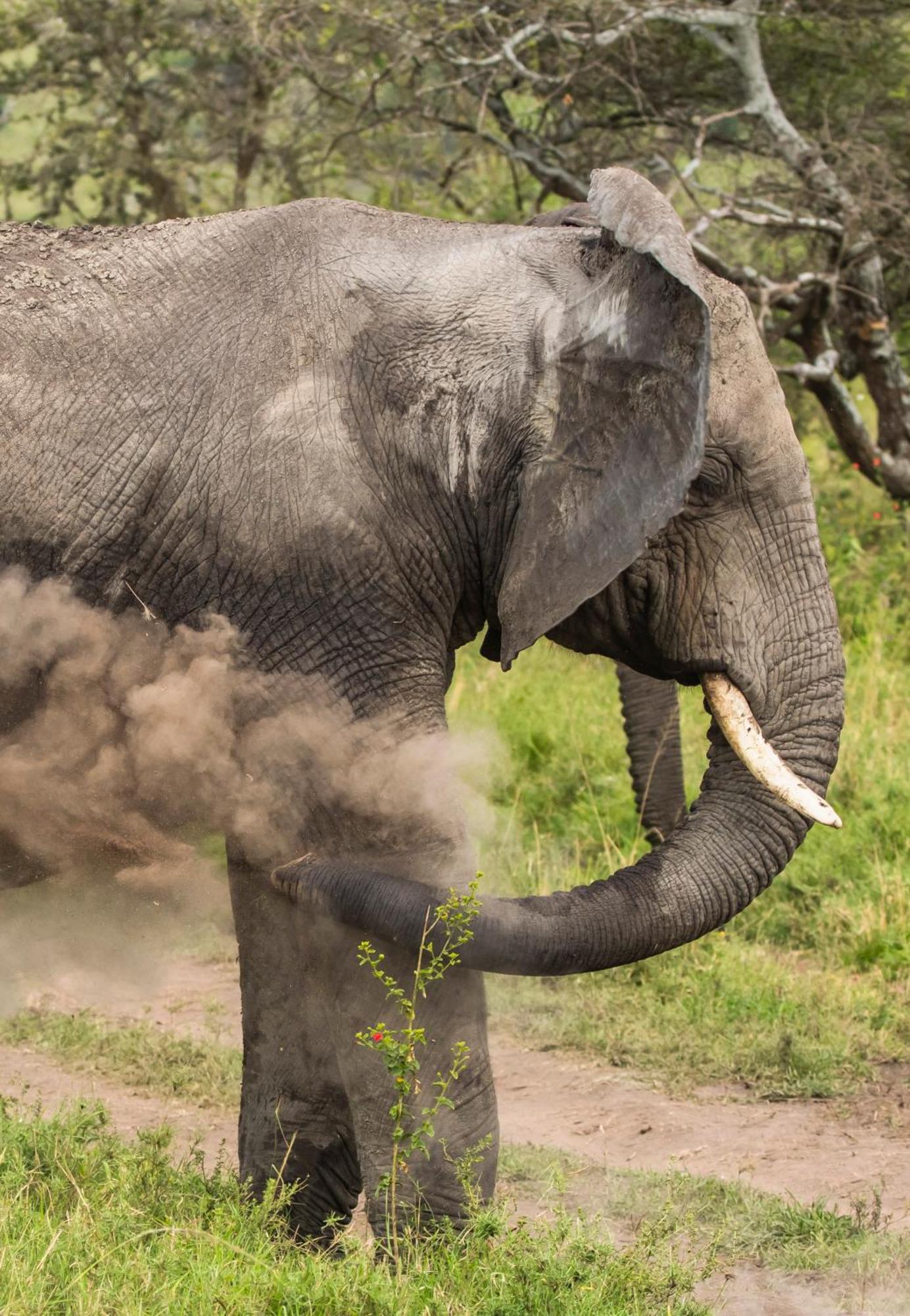 Ngorongoro Lodge Member Of Melia Collection - The Leading Hotels Of The World Bagian luar foto